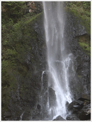 b0175688_22204454.gif