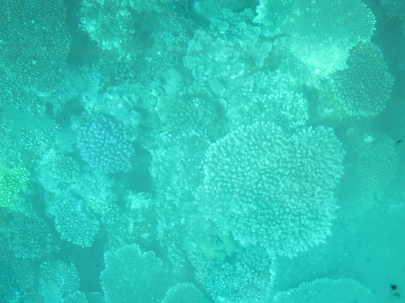 a0170390_19584553.jpg