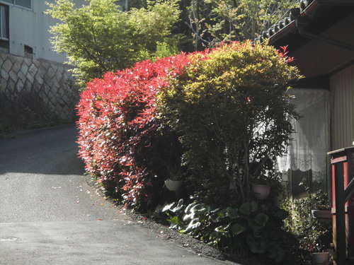 c0108198_15434432.jpg