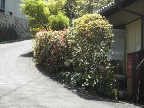 c0108198_1544033.jpg