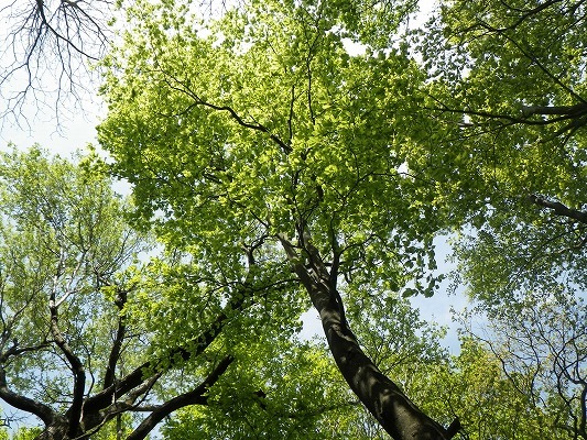 f0187402_18583466.jpg