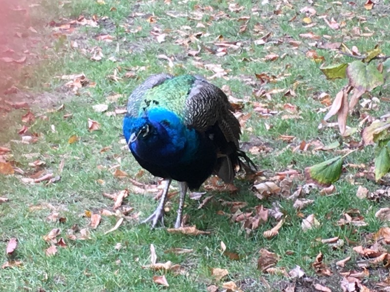c0193304_13431779.jpg
