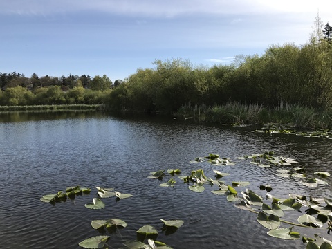 c0212604_4424059.jpg