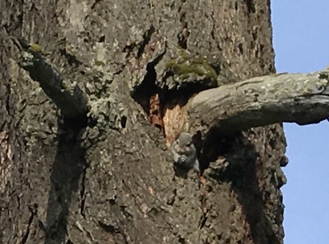 c0212604_4483751.jpg