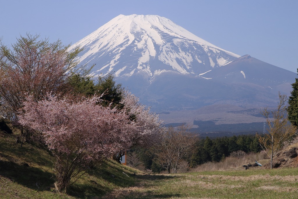 a0188405_23074606.jpg
