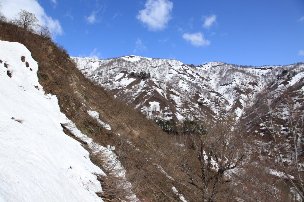 b0050305_828299.jpg