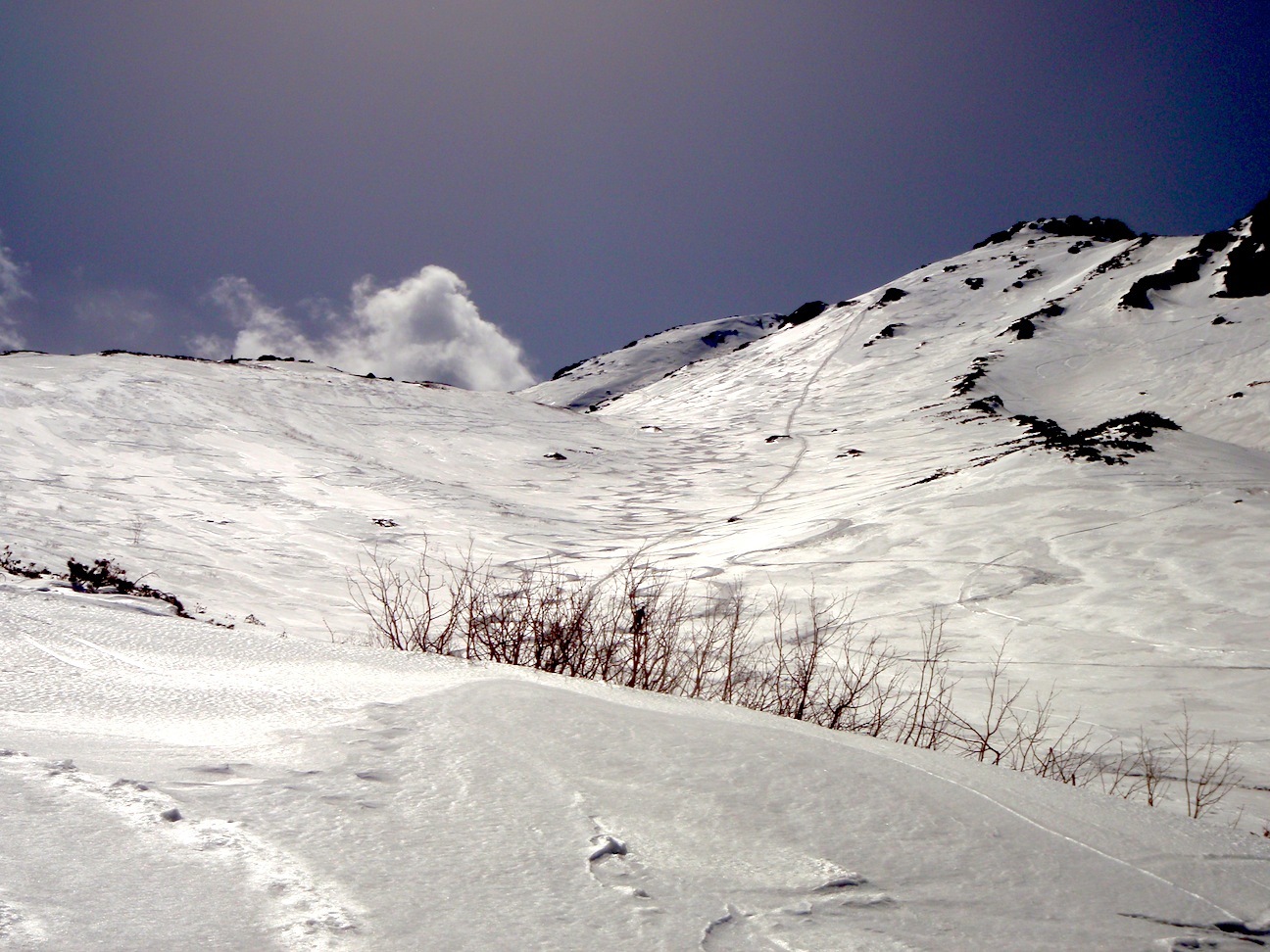 c0078410_04515469.jpg