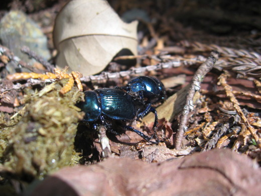 c0062511_21252540.jpg