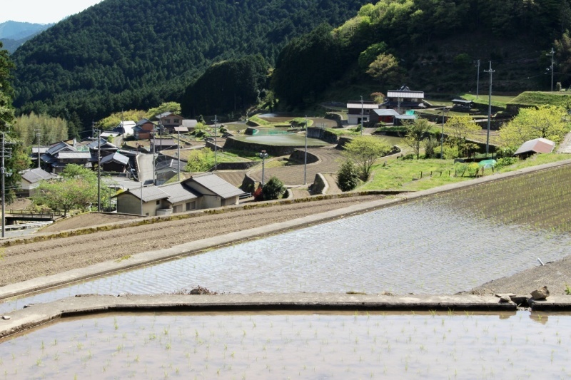 d0361112_15475135.jpg