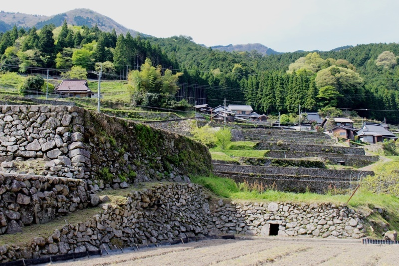 d0361112_15481055.jpg