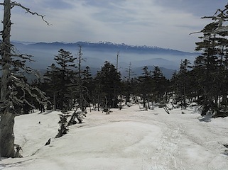 c0359615_22324006.jpg