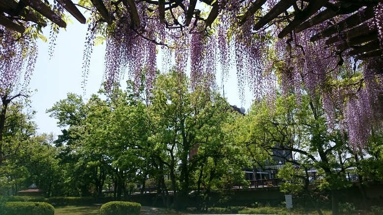 f0199615_23511792.jpg