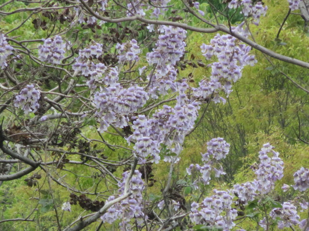 b0344816_21091363.jpg