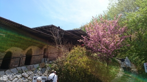 c0140516_22334703.jpg
