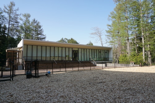 f0128821_14264055.jpg