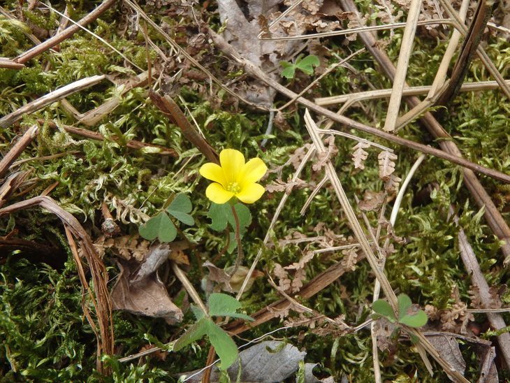 f0193521_19221238.jpg
