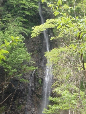 f0193521_19301581.jpg