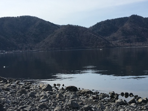 c0270322_2025387.jpg