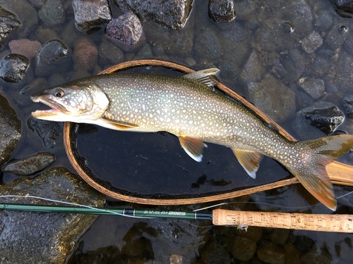 c0270322_20262550.jpg