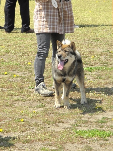 f0143123_11412225.jpg