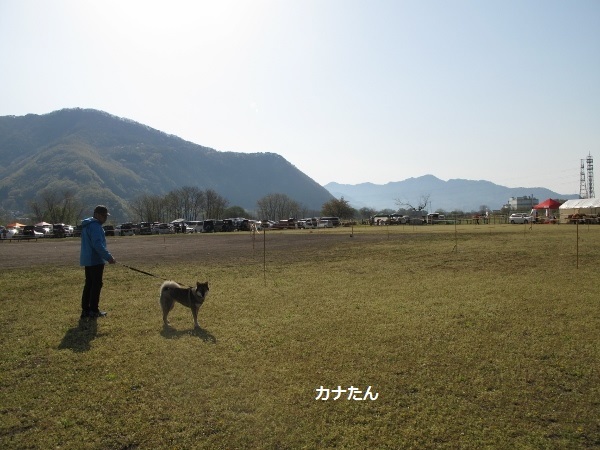 f0143123_20090520.jpg