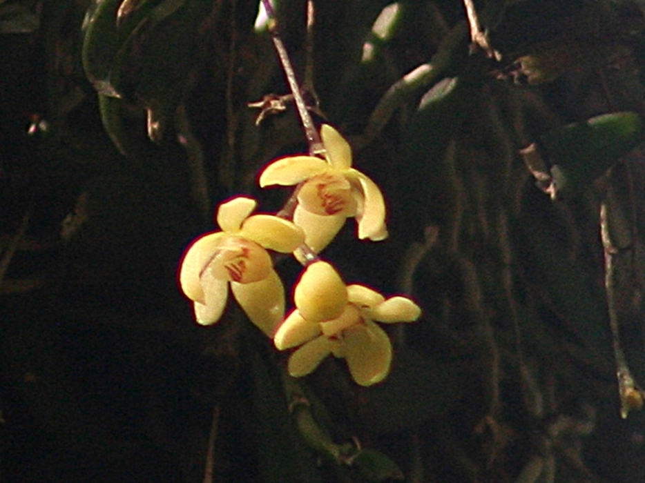 d0181824_15343401.jpg