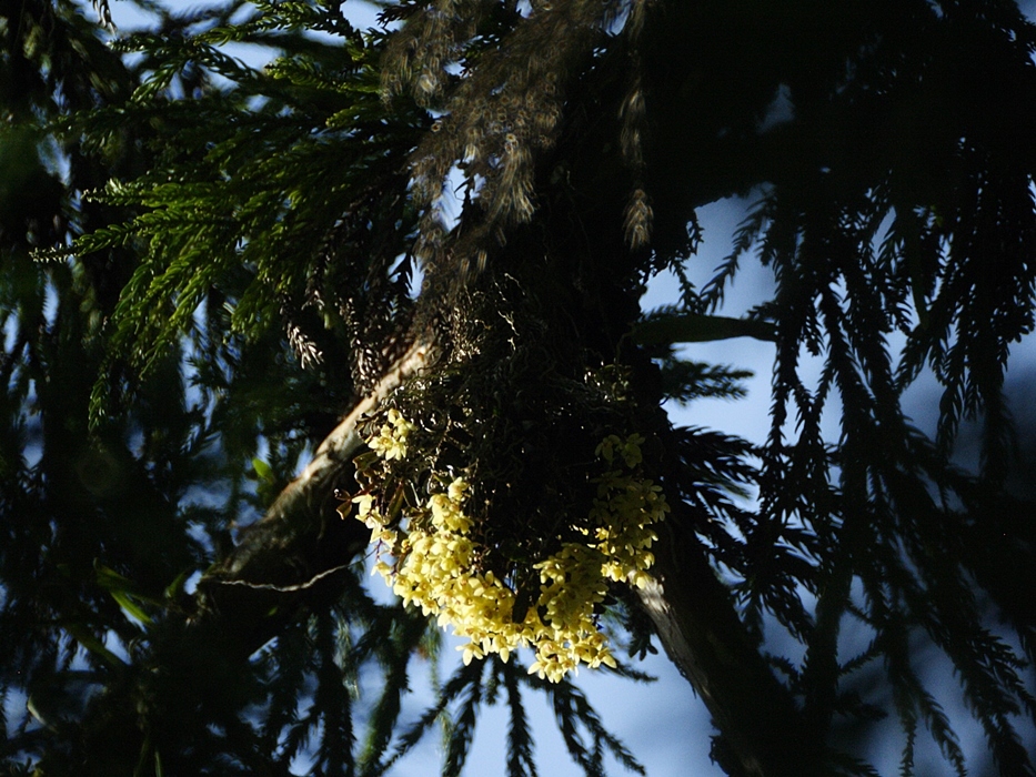 d0181824_15371854.jpg