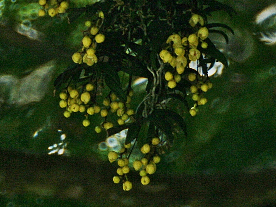 d0181824_15401013.jpg