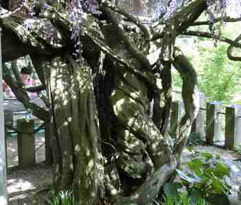 b0008825_15034984.jpg