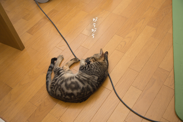 d0355333_16030896.jpg