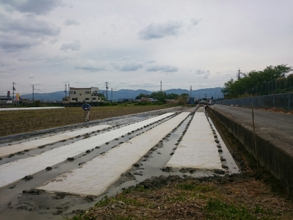 a0116538_10290762.jpg