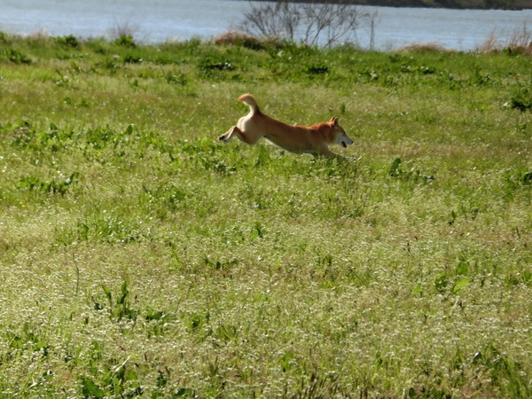 b0324239_20321742.jpg