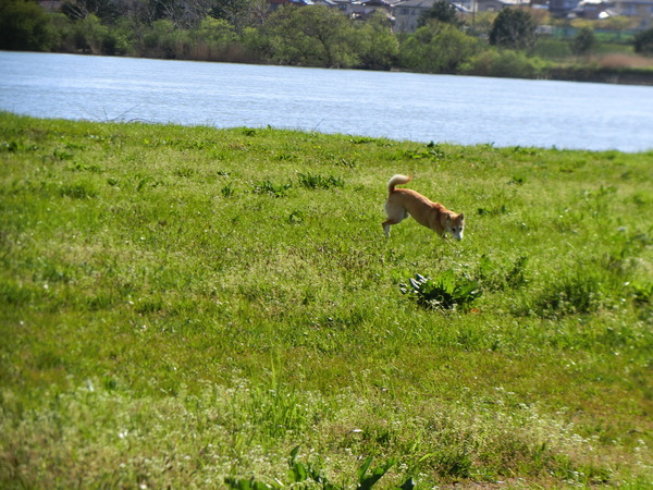 b0324239_20335386.jpg