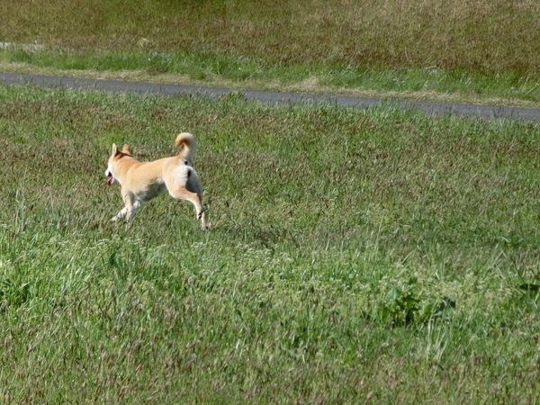 b0324239_20463051.jpg