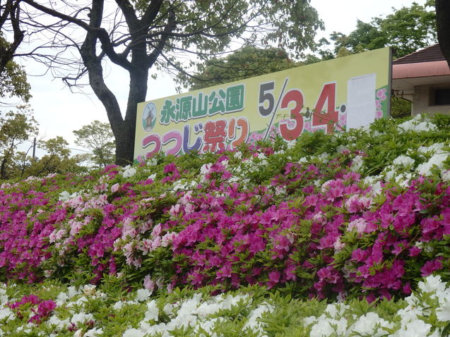 a0054240_2128362.jpg