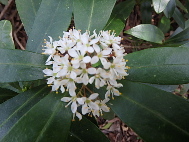 f0334143_857457.jpg