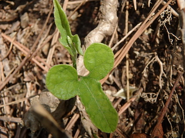 f0334143_9125133.jpg