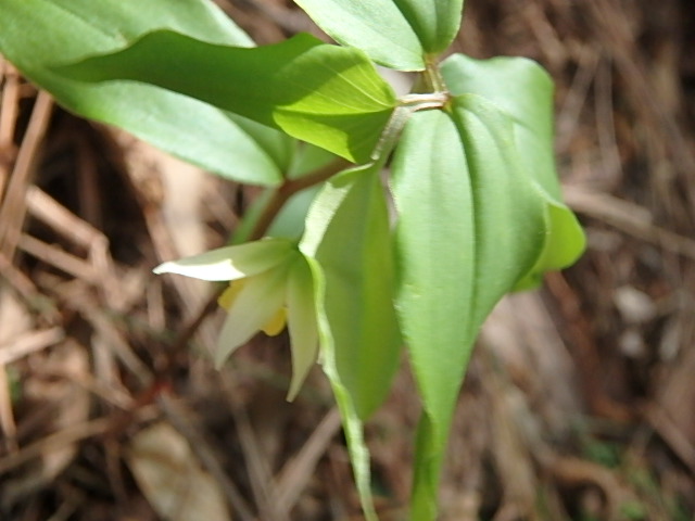 f0334143_9131598.jpg