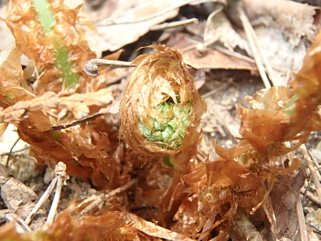 f0334143_9145018.jpg