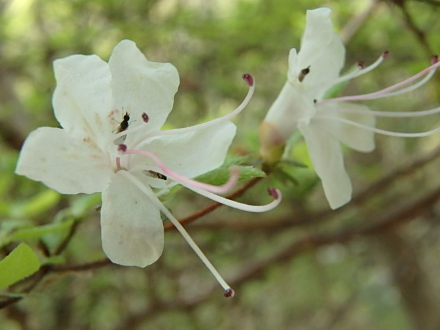 f0334143_9173012.jpg