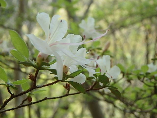f0334143_9174530.jpg