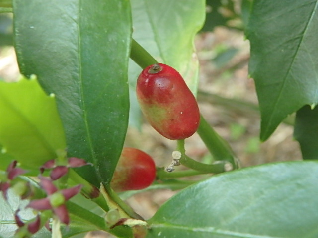 f0334143_9184715.jpg