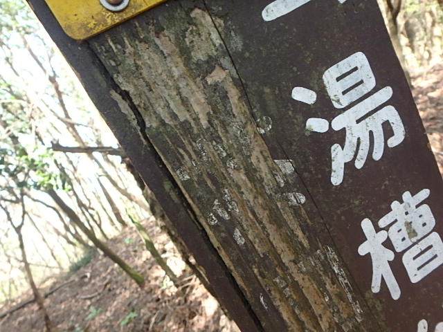 f0334143_98406.jpg