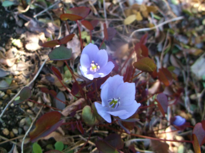 c0006745_06564204.jpg