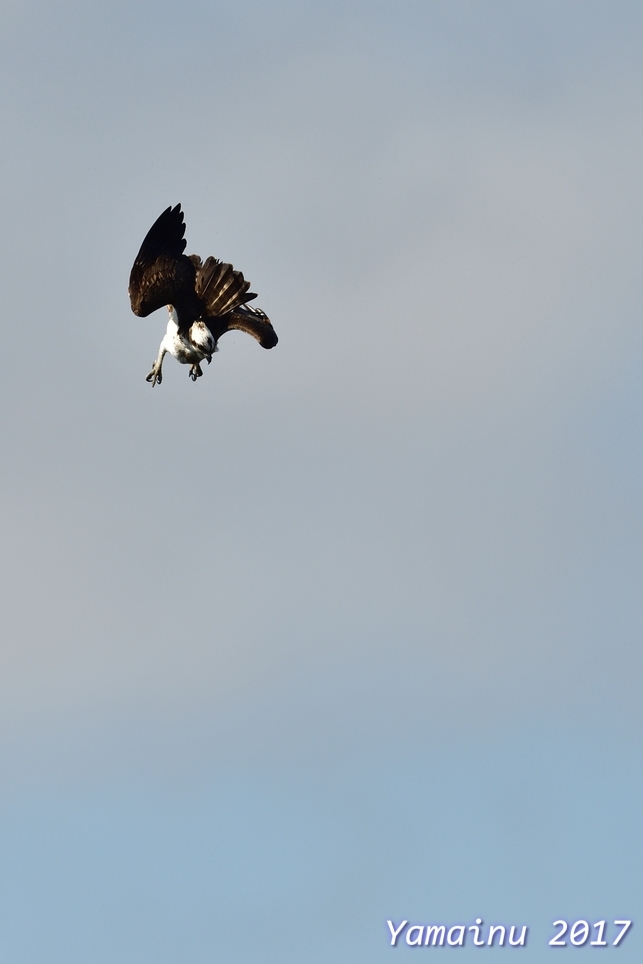 f0194048_20100239.jpg