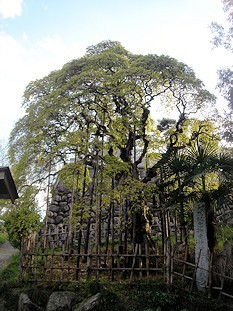 c0001653_07331396.jpg