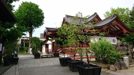 d0347253_21110615.jpg