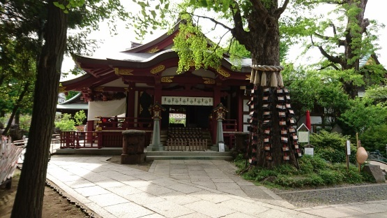 d0347253_22194639.jpg