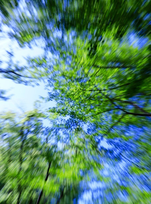 a0248459_15531213.jpg