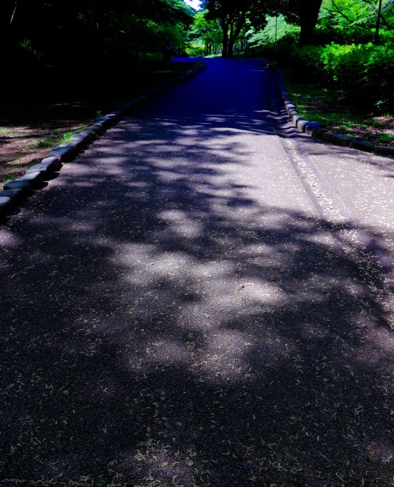 a0248459_15541251.jpg